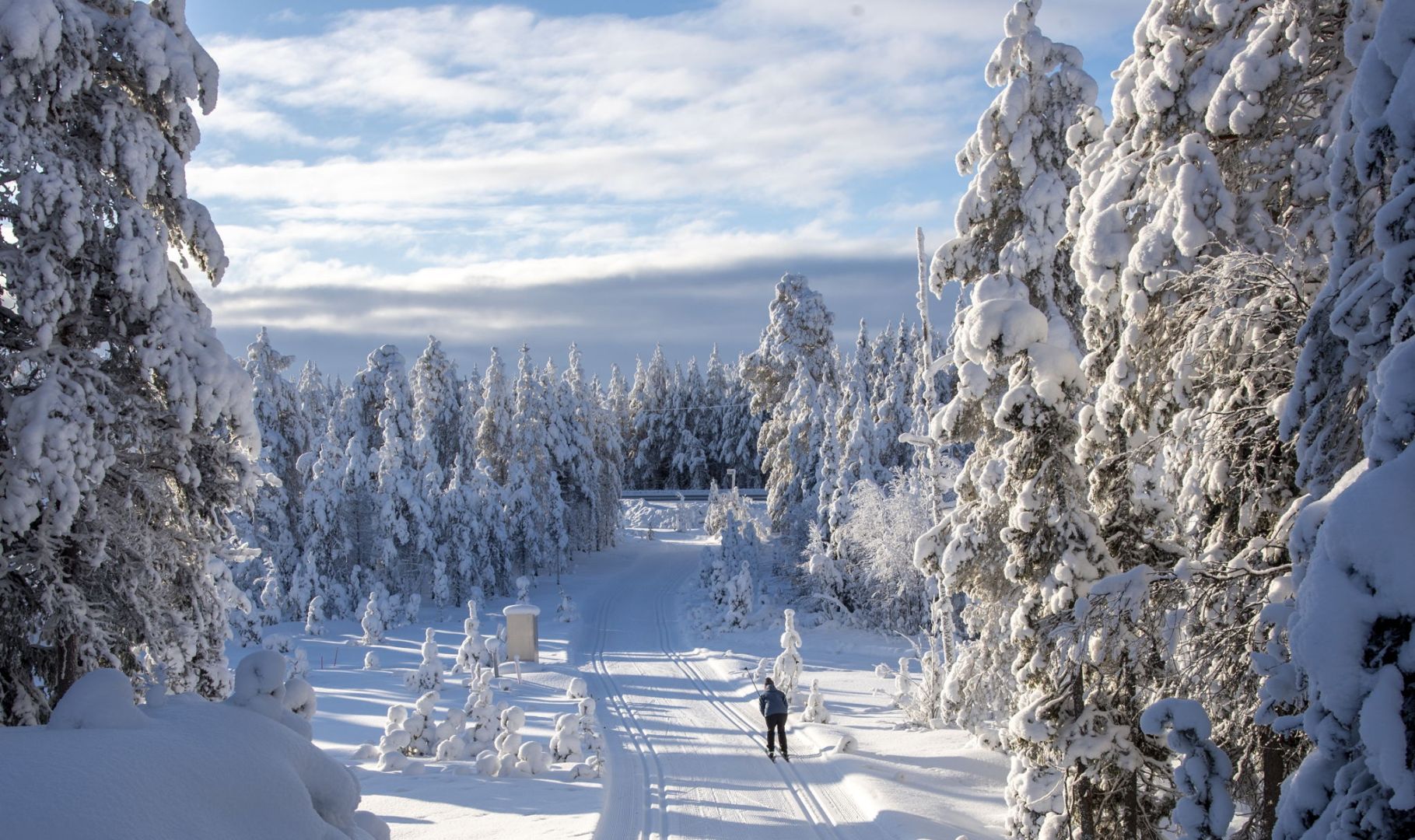 Brussels Airlines goes Nordic, adds Evenes, Kemi, and Kittilä to its network