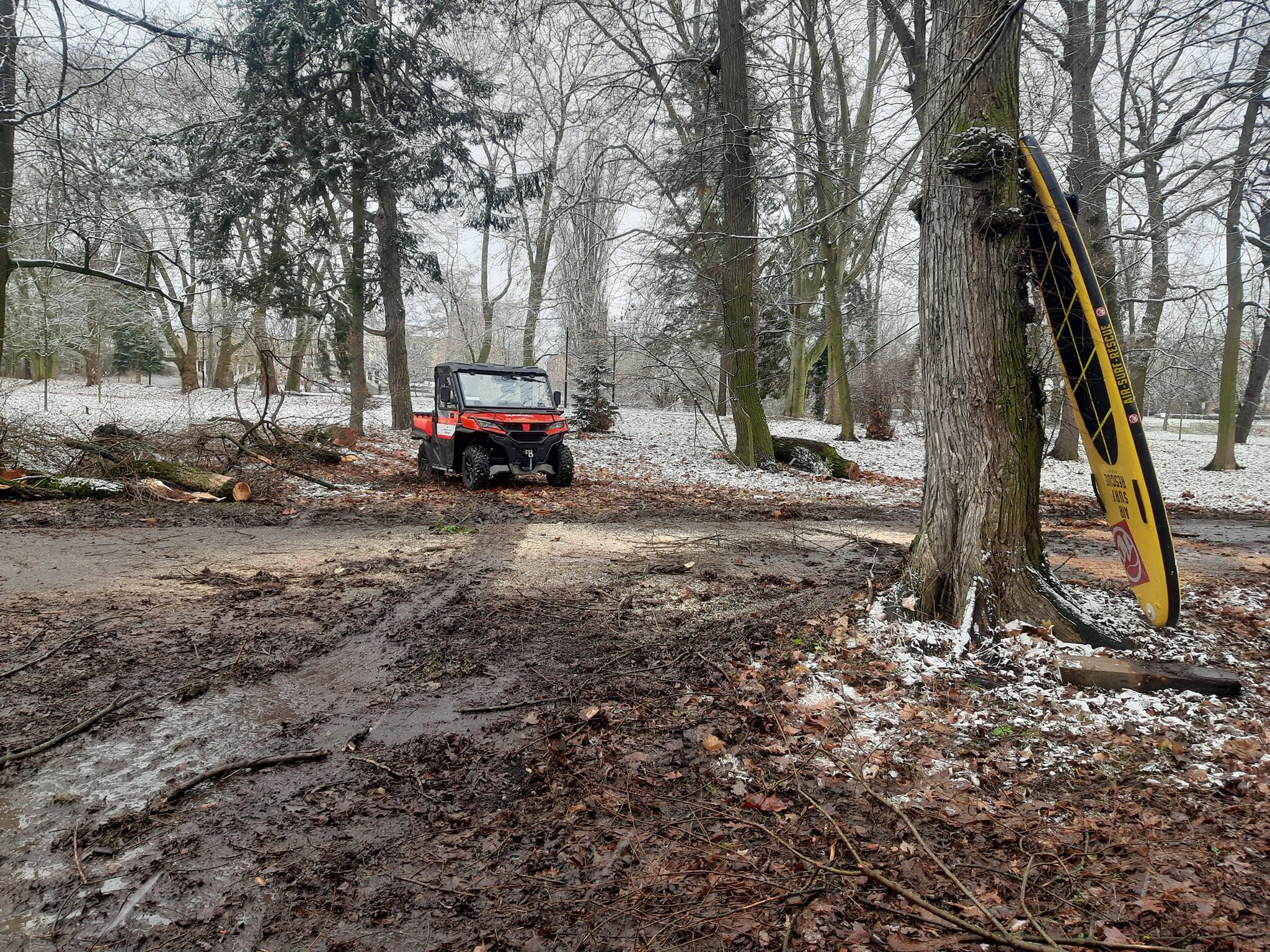 Město Nymburk vybralo projektanta pro obnovu parku Ostrov – I. etapa