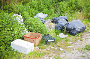 Litter louts face losing their driving licences