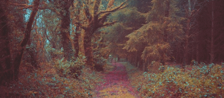 L'automne