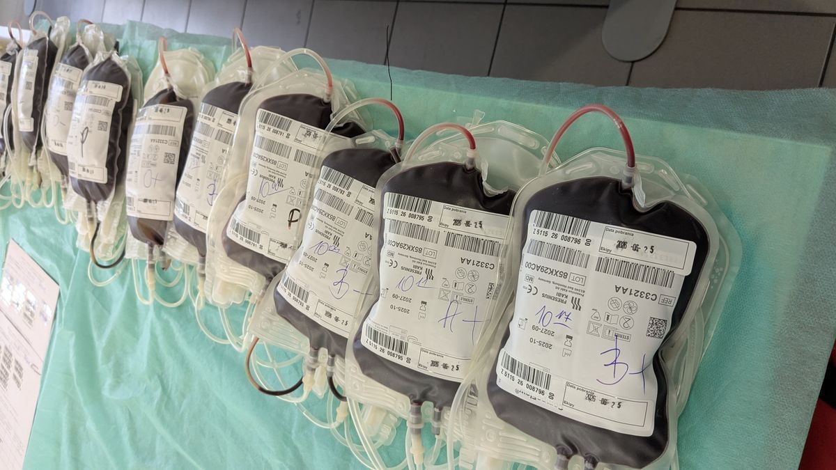Po Warszawie i Libiszowie akcja krwiodawcza Fundacji Grupy PKP dociera do Gdańska