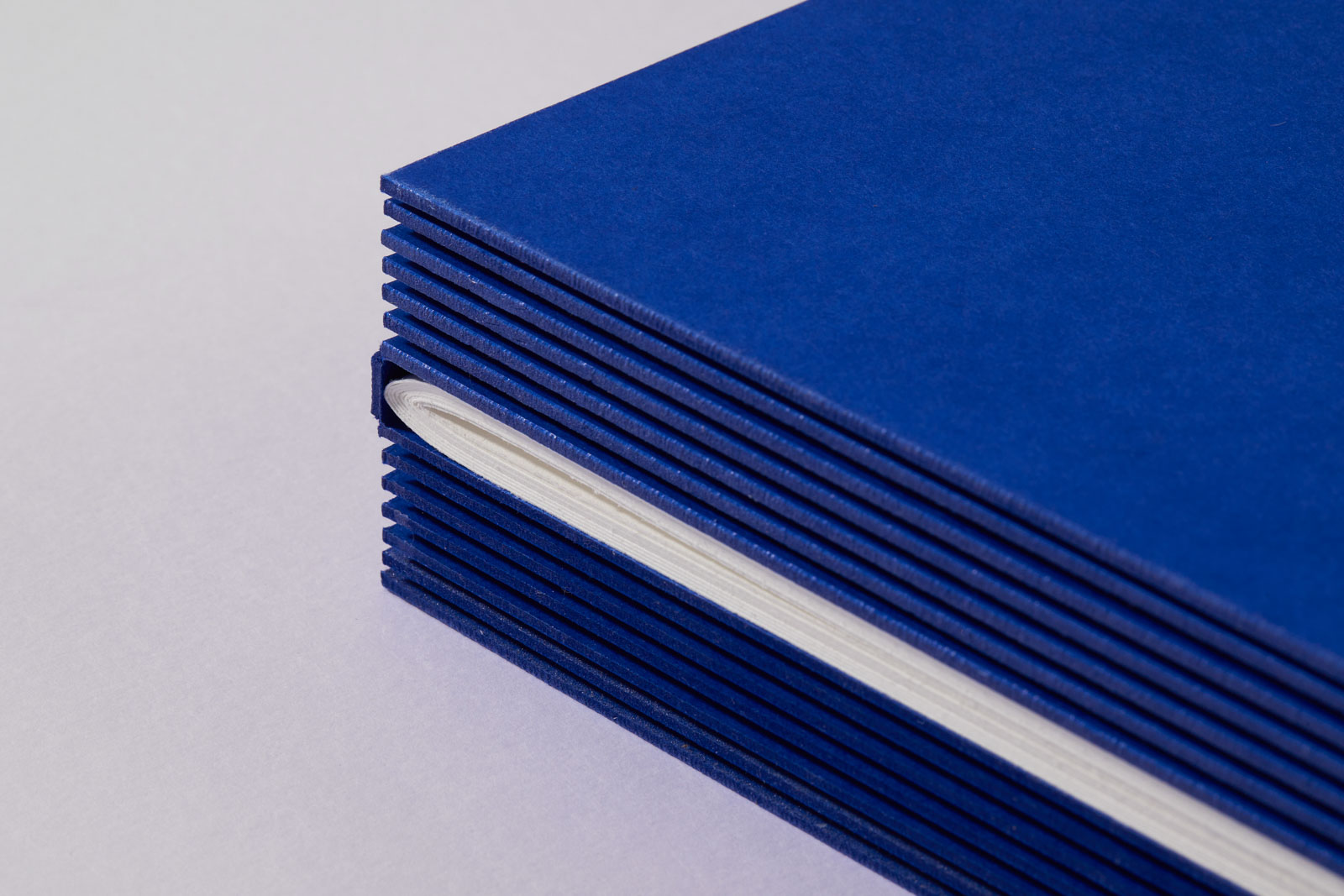 Prestižní ocenění pro slavnostní provedení Ústavy ČR