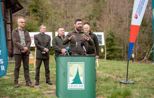 Lesníci zastavili kalamitu na Horehroní. Začína sa etapa obnovy lesov