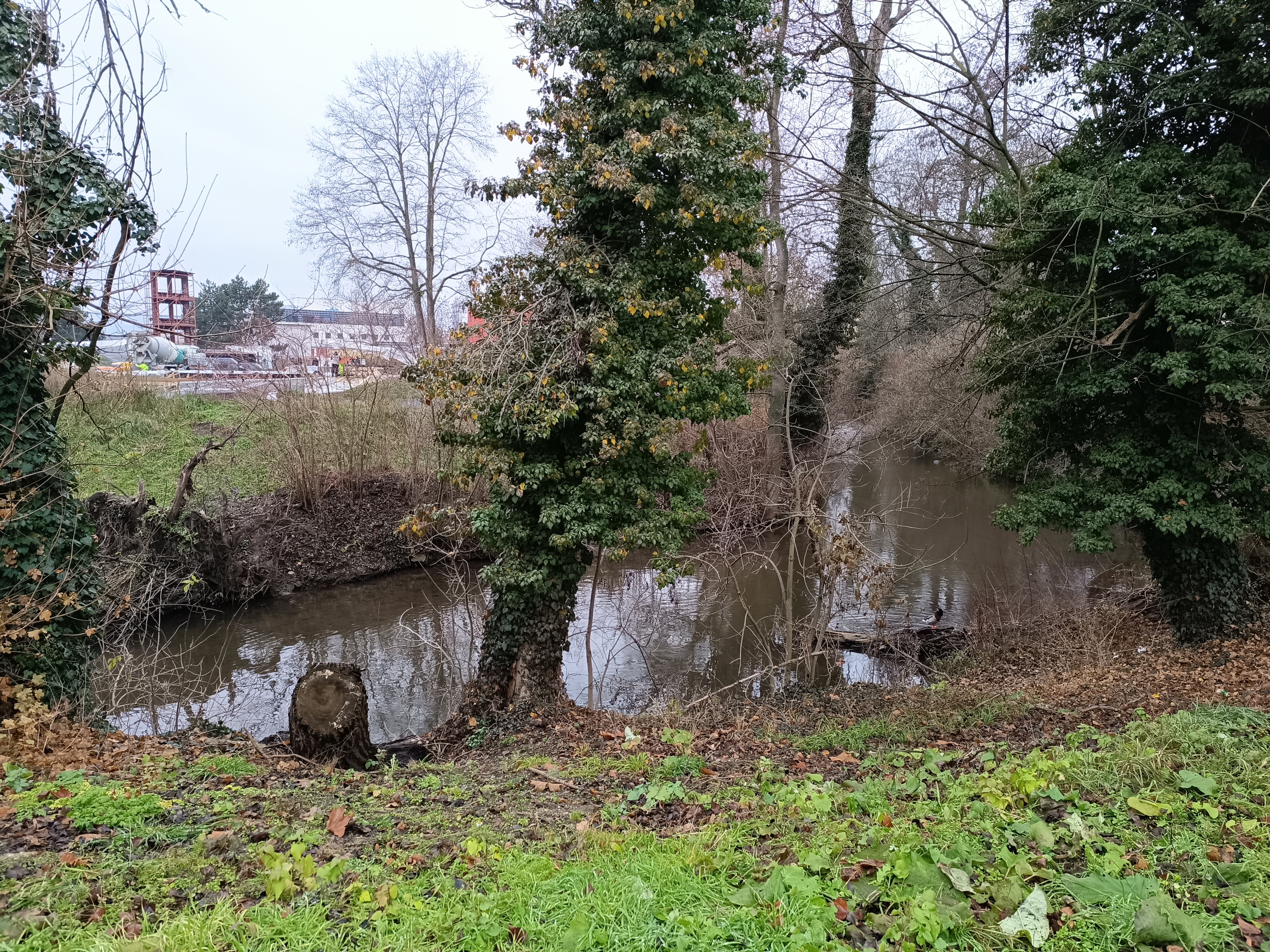 Město Nymburk zahájilo veřejnou zakázku na opevnění svahů u lávky NB-16  v lokalitě Na Parkáně
