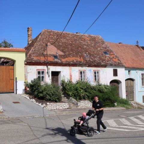 Výtvarníci zo Senice a Veľkých Pavlovíc opäť tvorili na Pálave