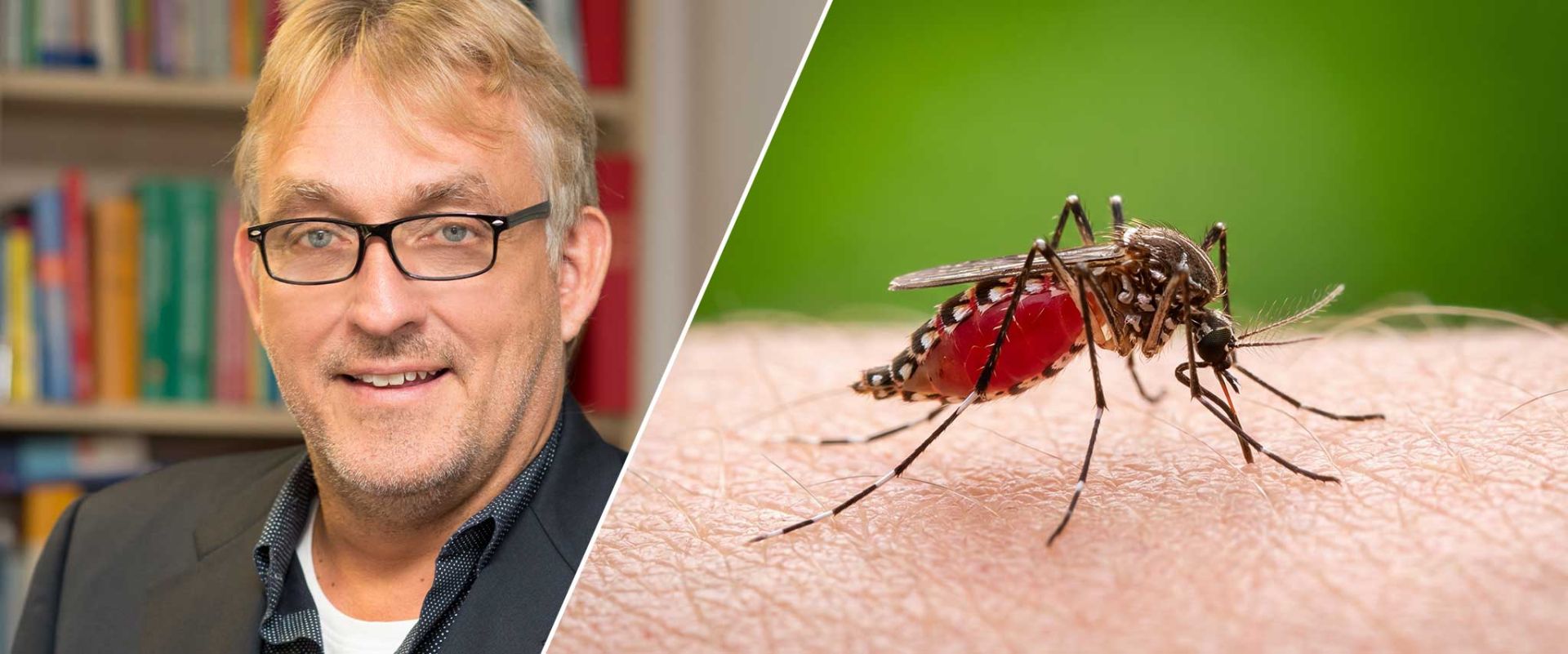 Wenn die Temperaturen fallen, sinkt auch das Malaria-Risiko