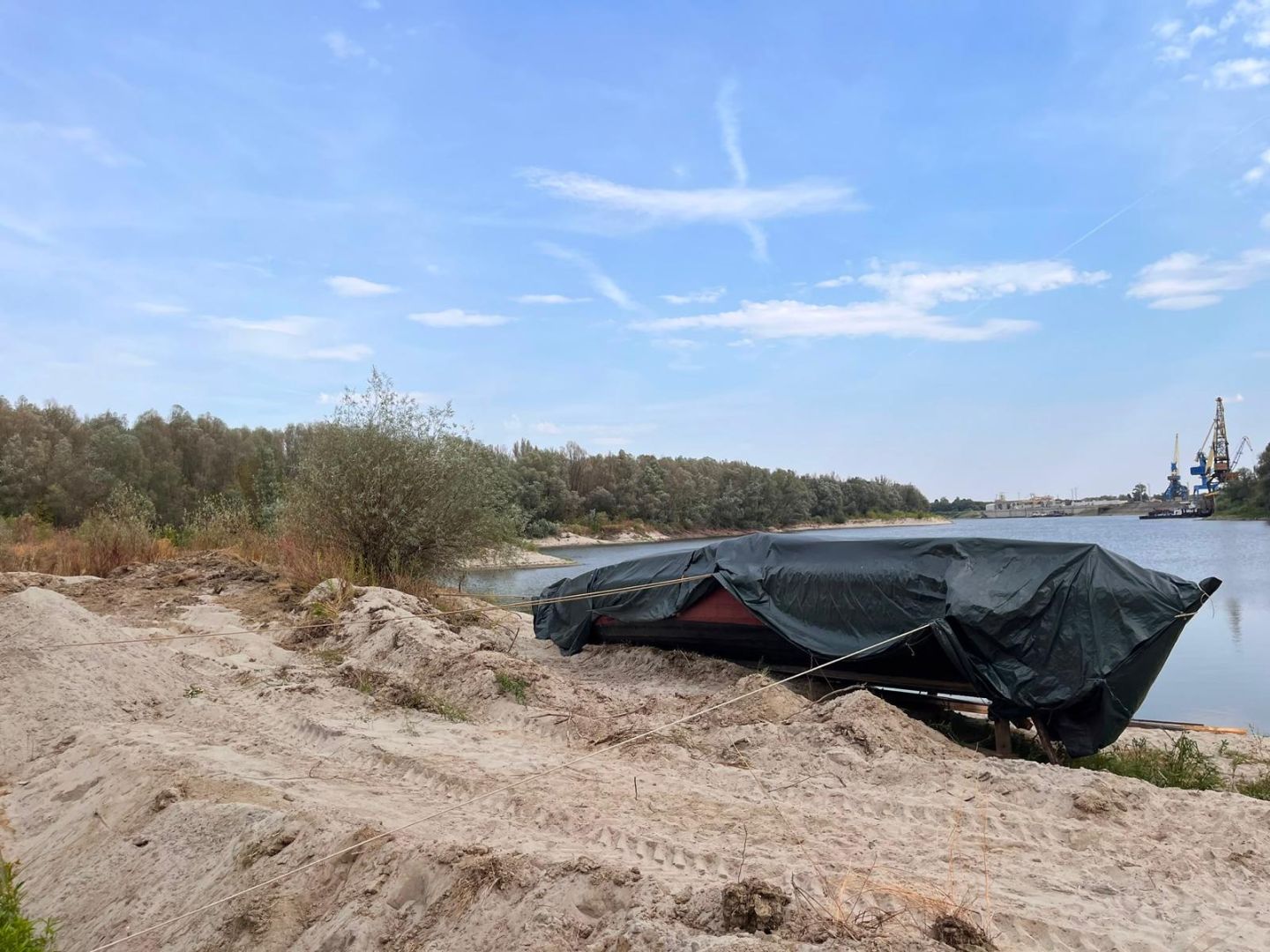 Rettet die Danuvina alacris!