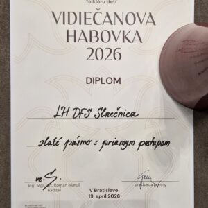 DFS Slnečnica opäť úspešná na súťaži