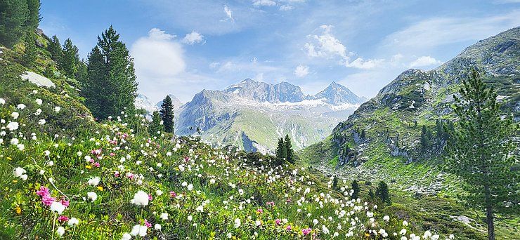 Naturschutzplan auf der Alm
