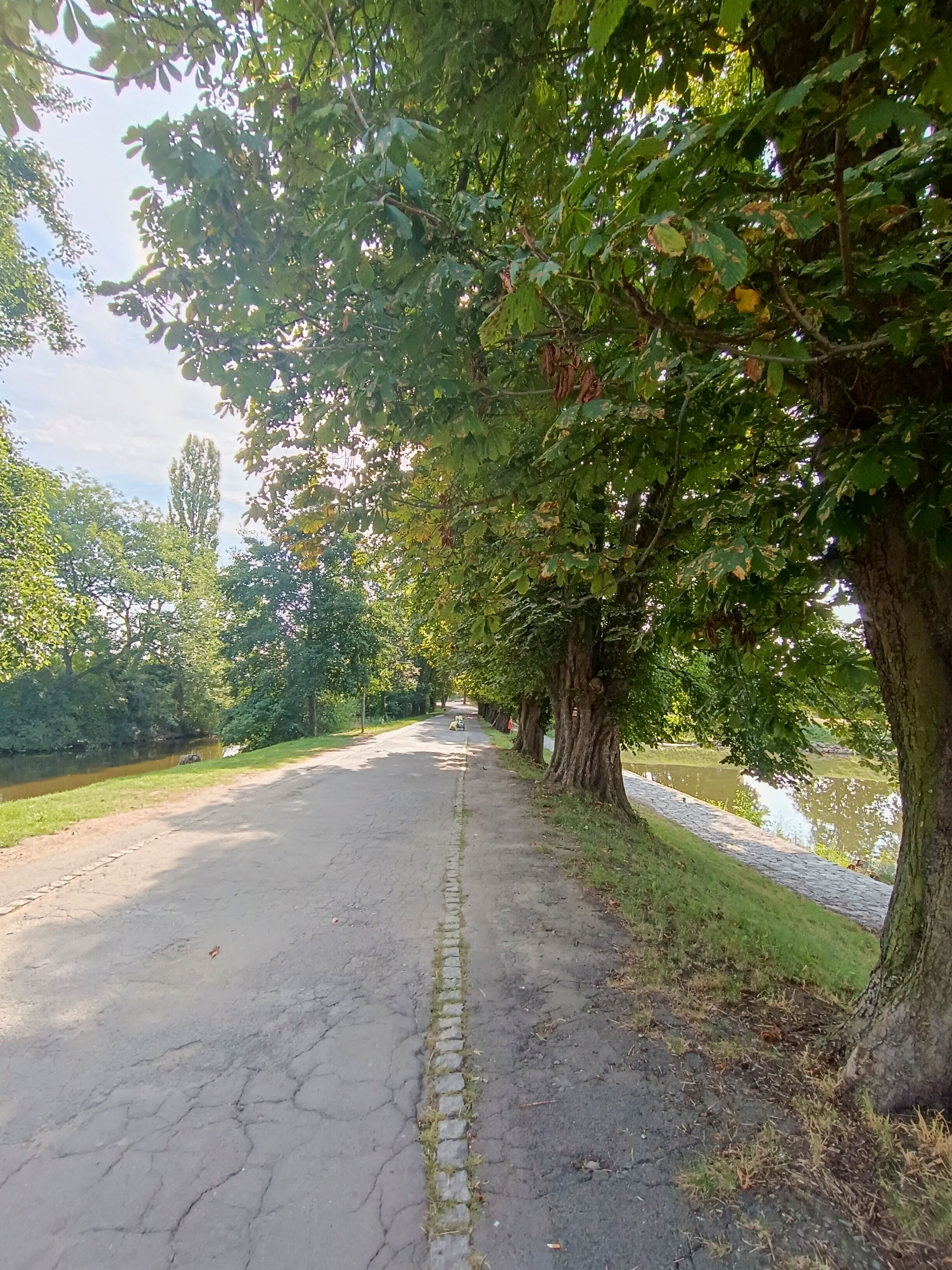 Konečně jsme se dočkali. Stavba přístaviště pro malá plavidla a korza podél Labe je před realizací