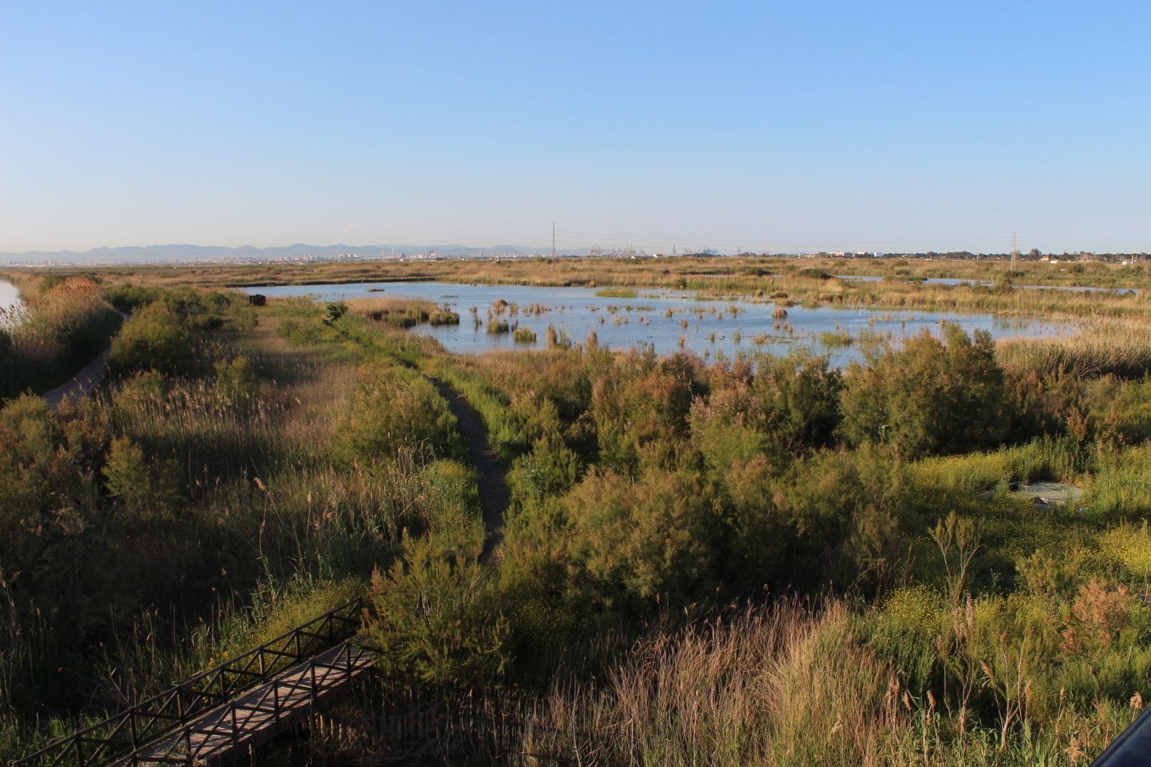 Consolidamos el papel del Tancat de la Pipa en l’Albufera