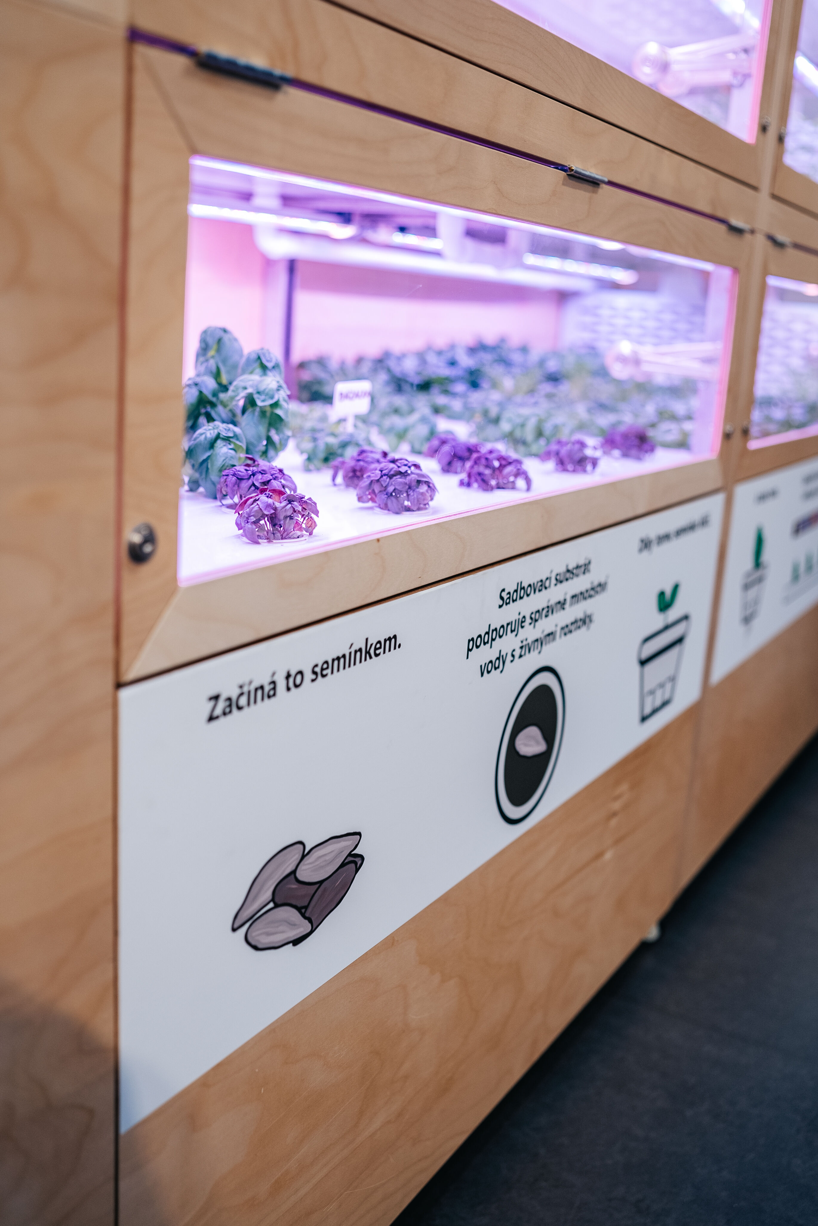 Vyzkoušejte si pěstování budoucnosti na hydroponické farmě!