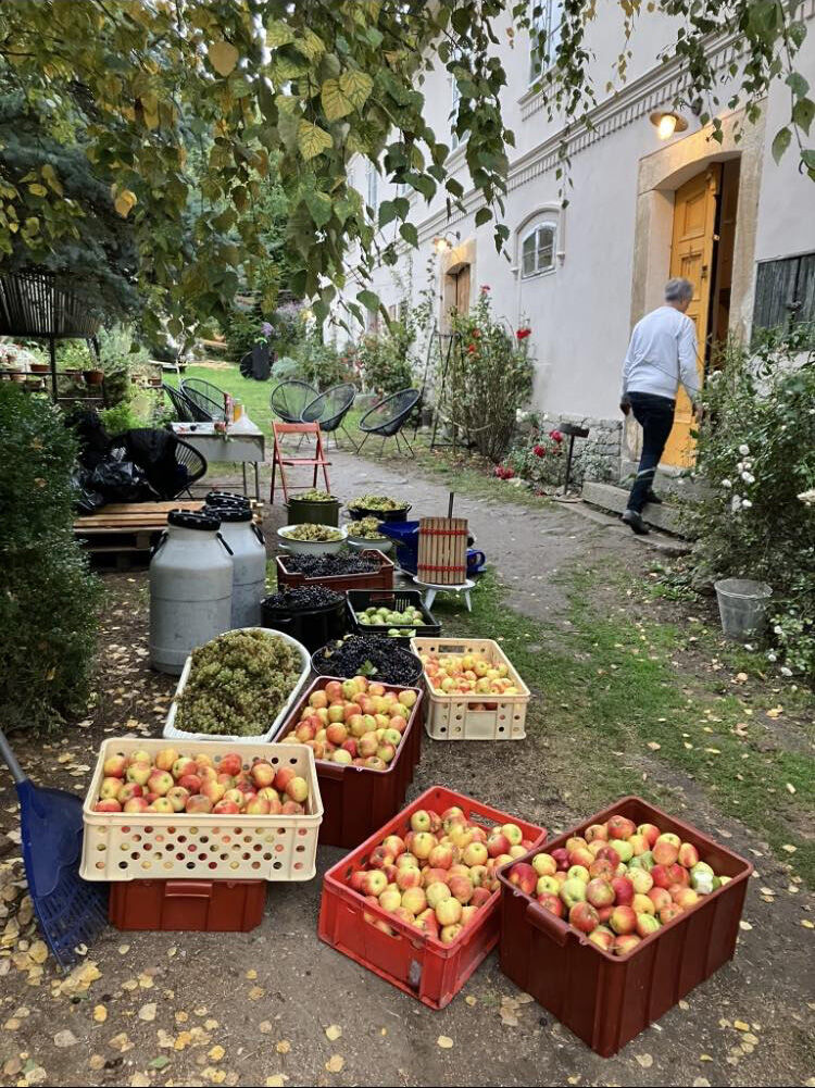 Ciderfest v Muzeu v přírodě Zubrnice