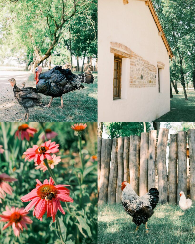 Teambuilding zamestnancov Západoslovenského múzea v Trnave