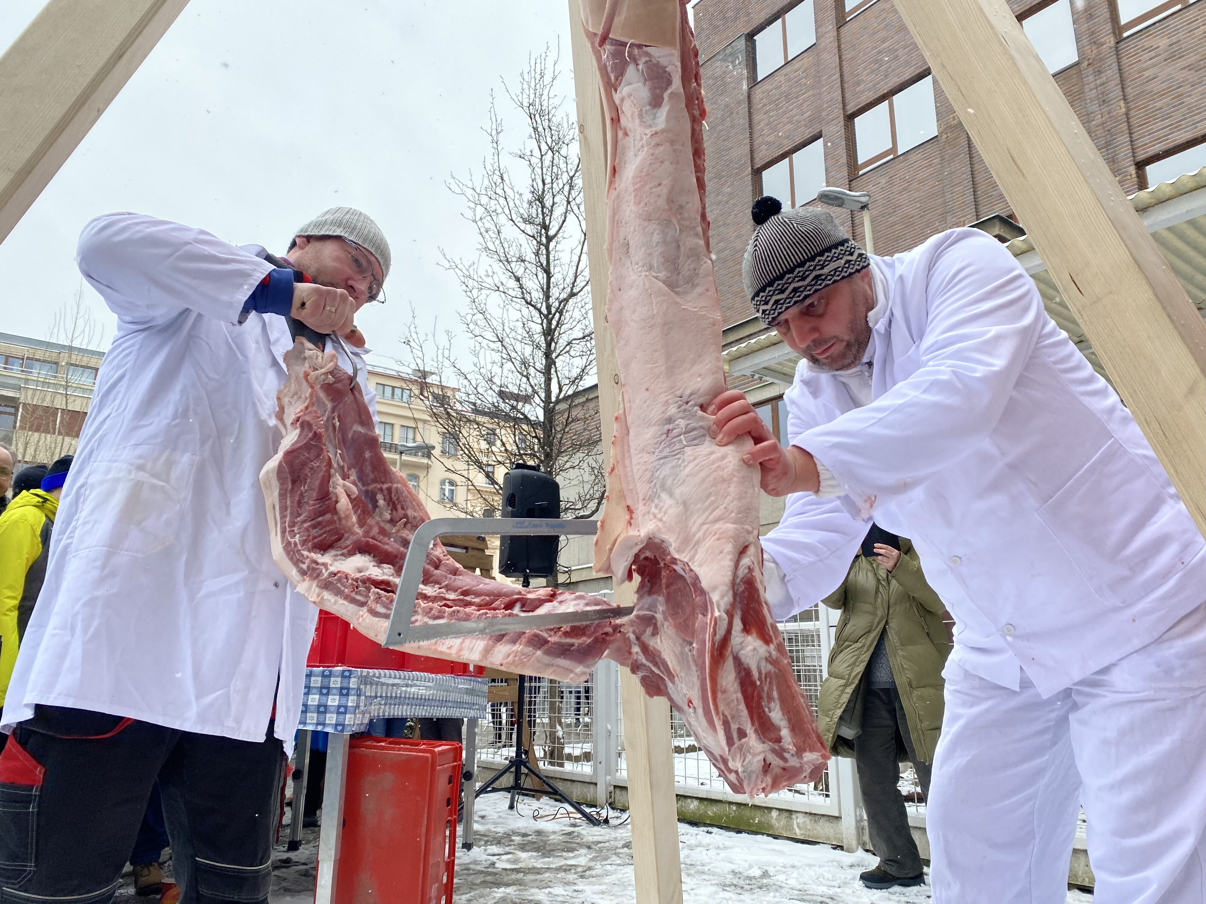 Letenské prase a Letenský masopust letos slaví společně