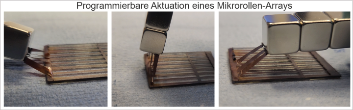 Vom Schmetterling abgeschaut: Intelligenter Antrieb für die Roboter der Zukunft