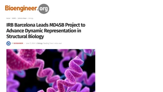 Bioengineer.org - IRB Barcelona Leads MD4SB Project to Advance Dynamic Representation in Structural Biology
