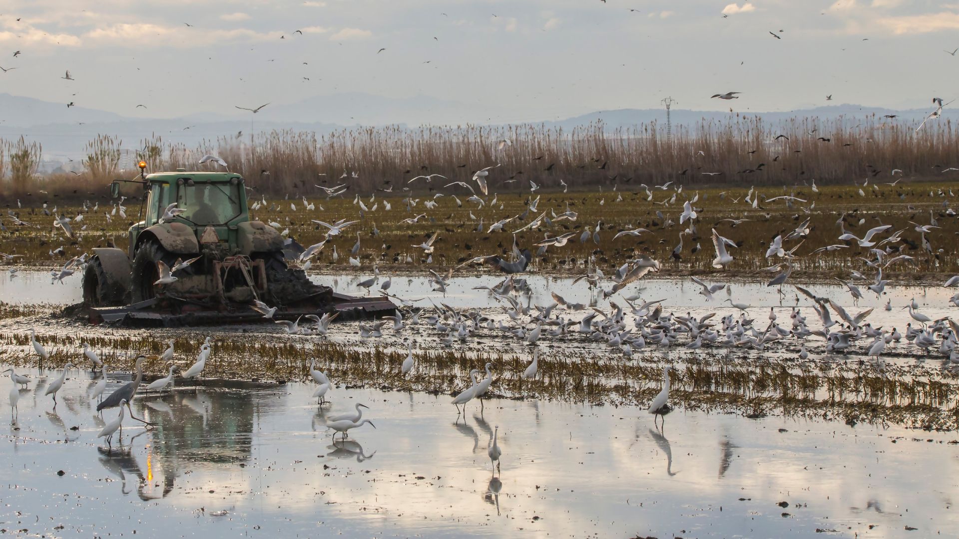 Cosechando biodiversidad con SEOfood y Riet Vell