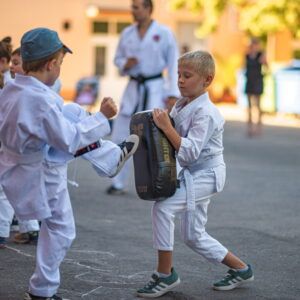 Karate v Senci: SPORT CENTRUM SENEC získalo 248 medailí a otvára septembrový nábor