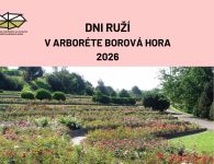 Dni ruží 2026 v Arboréte Borová hora