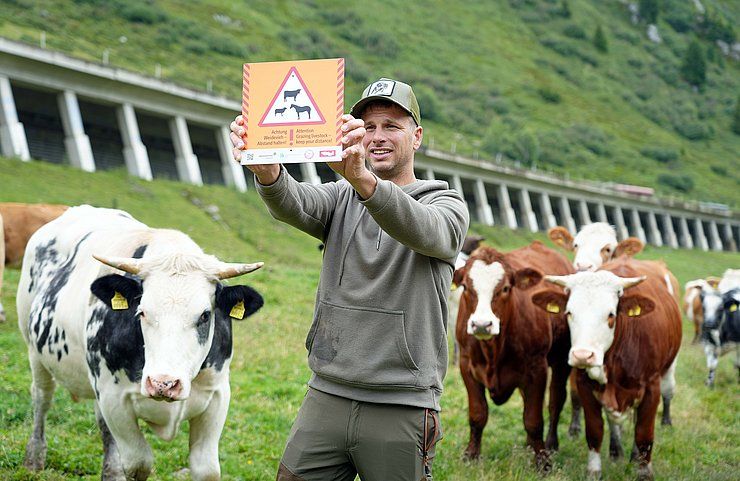 Weidetier ist kein Selfie-Partner und die Alm kein Streichelzoo