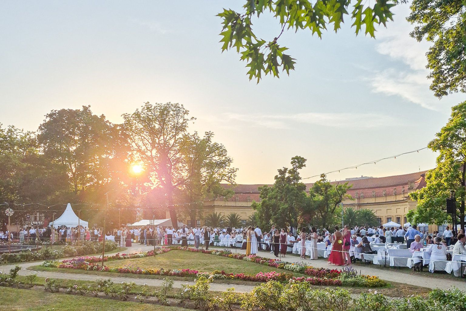 Sommerstimmung und gelebte Verbundenheit: Das Alumni-Netzwerk beim Schlossgartenfest 2026