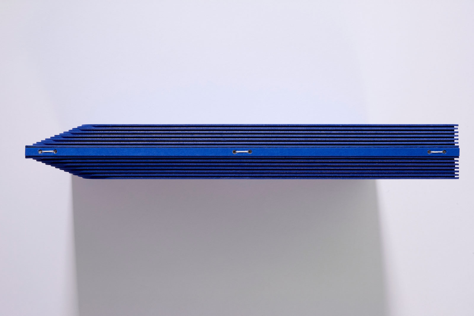 Prestižní ocenění pro slavnostní provedení Ústavy ČR