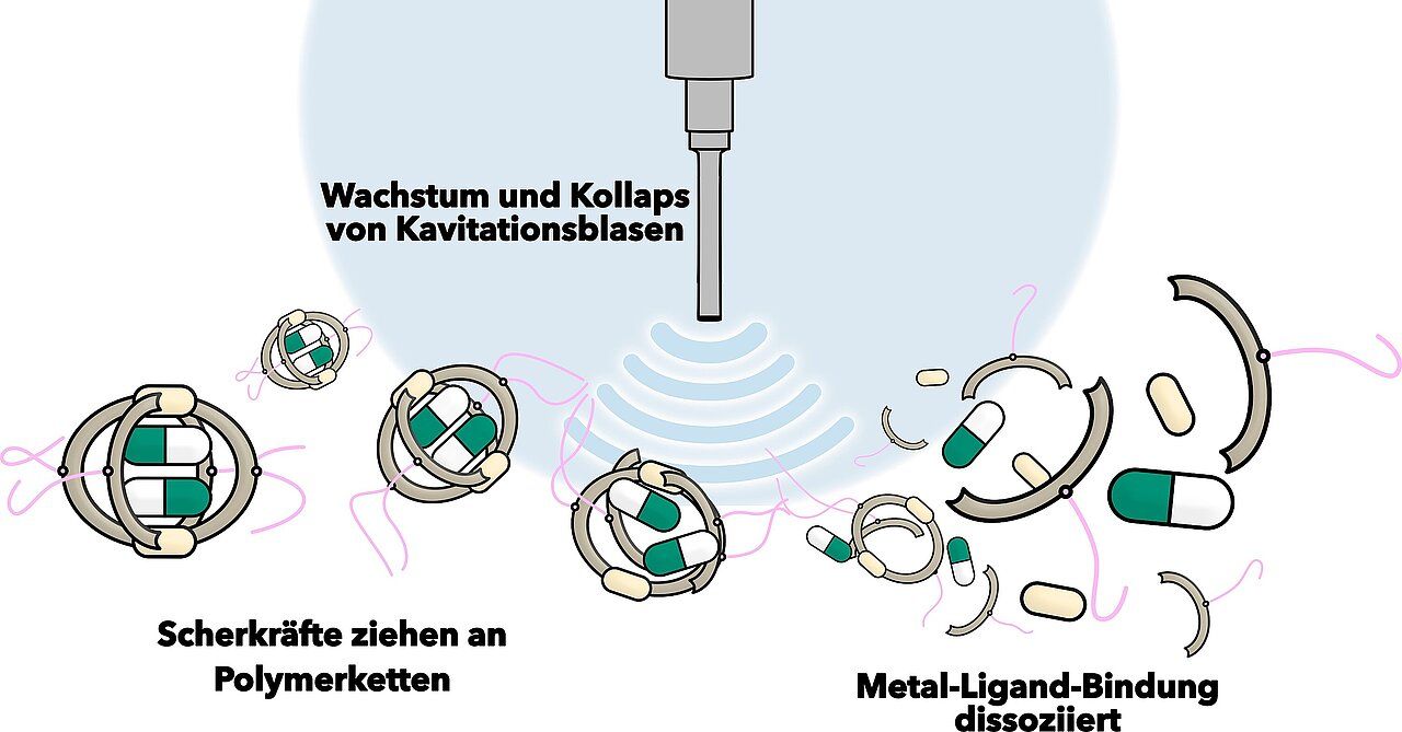 Veröffentlichung in Nature Communications Molekulare Nanostrukturen lassen sich durch Ultraschall aktivieren