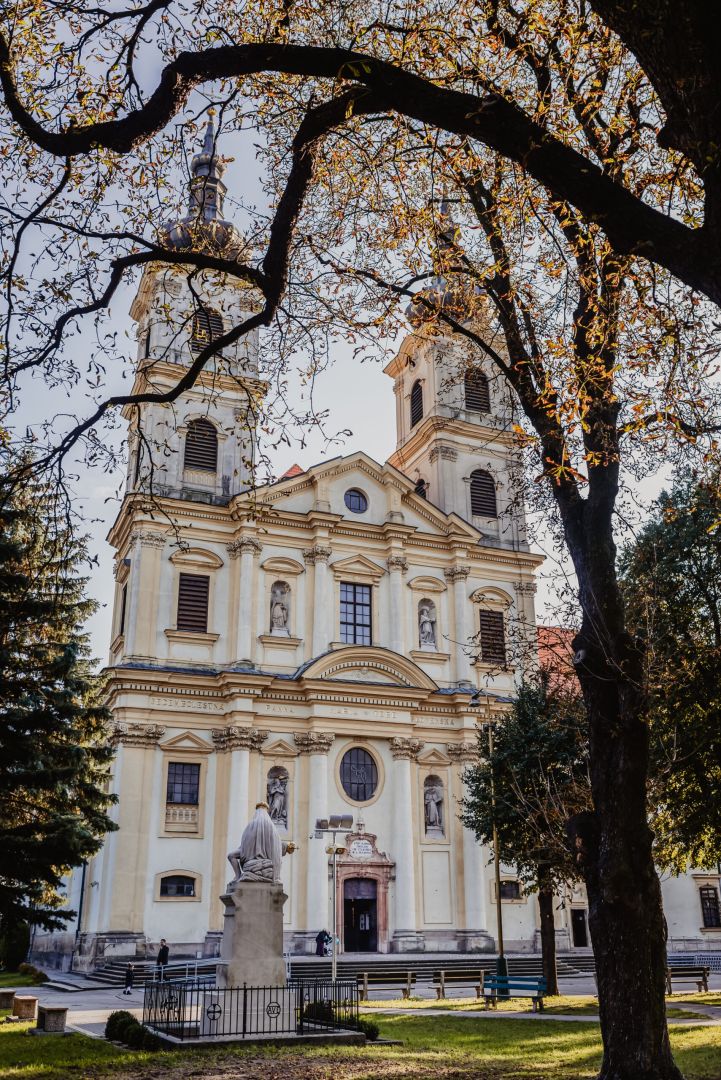 Národná púť k Sedembolestnej Panne Márii v Šaštíne: Matka života