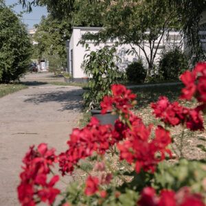 K plotu okolo bungalovov na Slnečných jazerách