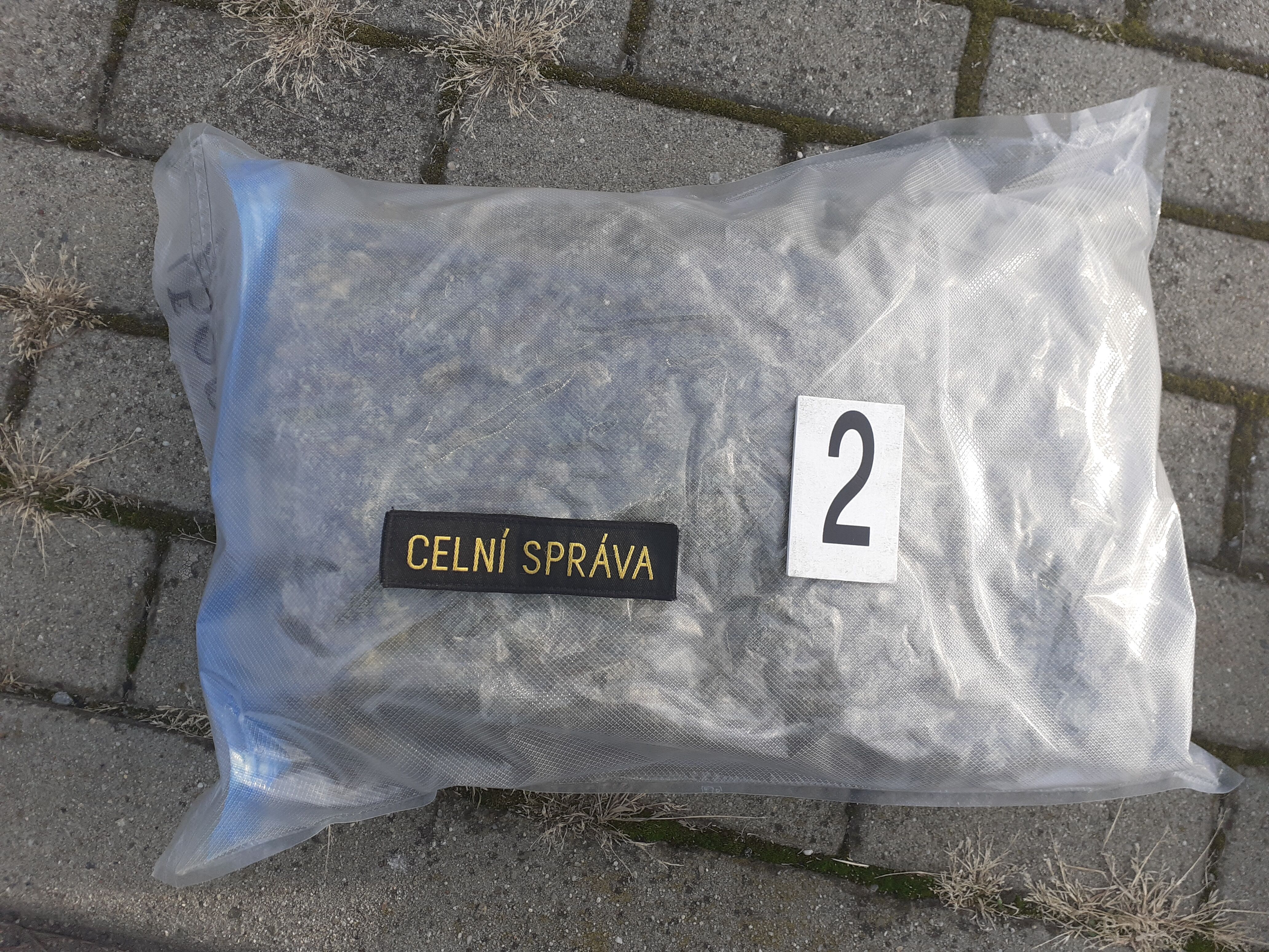 Slovenského sběratele hub překvapili celníci, v zavazadle měl téměř 300 lysohlávek