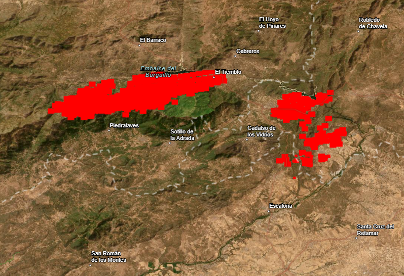Alertamos del grave impacto de los incendios de la Sierra Oeste y el Valle del Tiétar sobre la biodiversidad