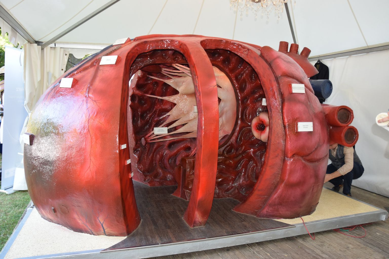 Schlossgartenfest 2026 – Impressionen vom 70. Jubiläum