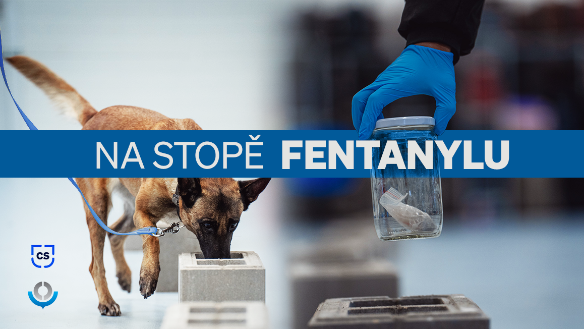 Deset služebních psů Celní správy ČR umí odhalit fentanyl