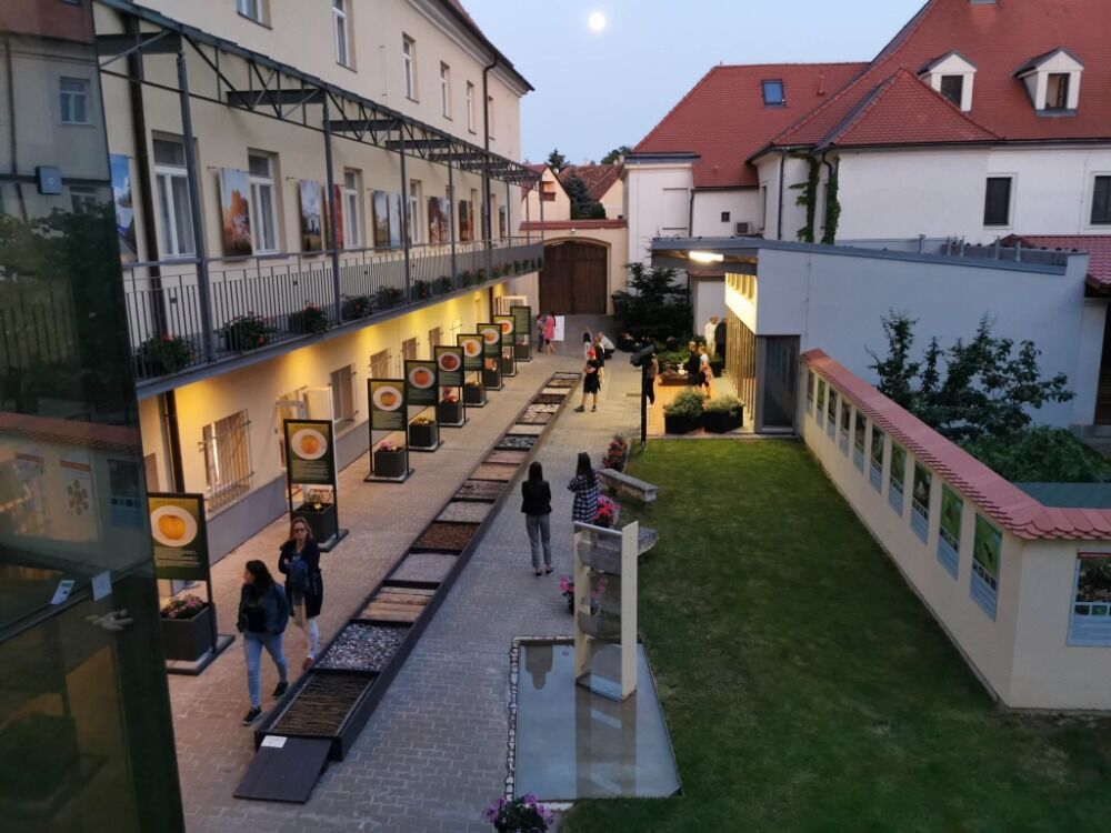 Zažijte muzejní noc ve Valticích: společné tvoření pro děti i dospělé a zázrak jménem Fotosyntéza