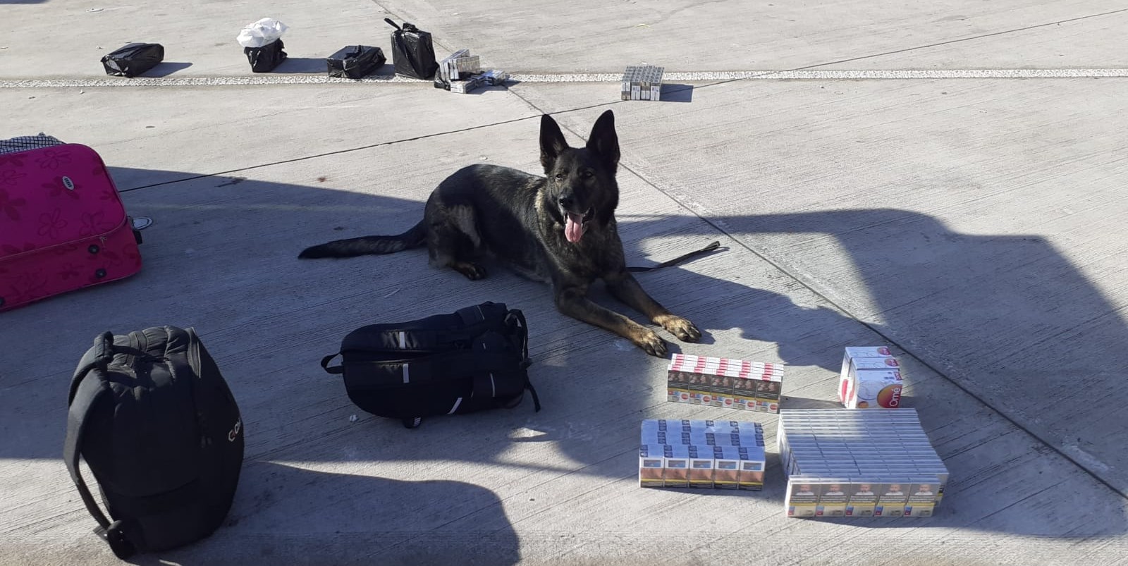 Středočeští celníci vybrali na spotřebních daních rekordních 64,1 miliardy, drží celorepublikové prvenství