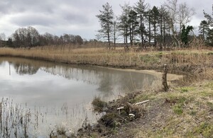 Major oil spill in Poole Harbour costs company £6m