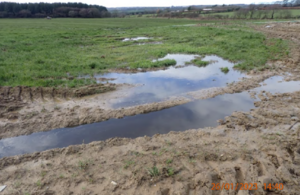 Devon farmer convicted after slurry spill kills hundreds of fish