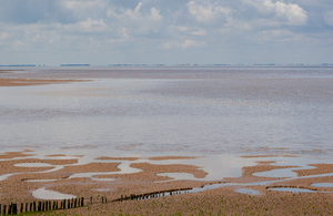 Protecting The Wash and North Norfolk's marine environment