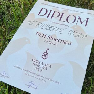 DFS Slnečnica úspešná na súťažiach