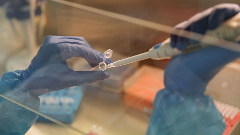 Hoffnung auf Diagnose