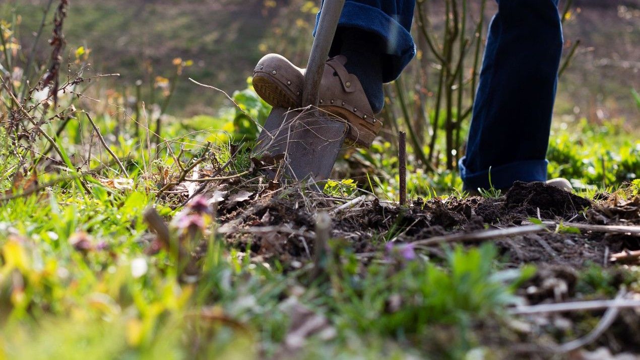 Provincie Noord-Brabant saneert loodverontreiniging op moestuinlocatie in Heusden