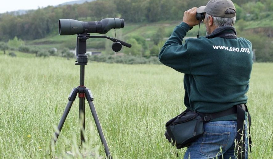 Confirmadas 19 nuevas Áreas Importantes para la Conservación de las Aves y la Biodiversidad (IBA) en España