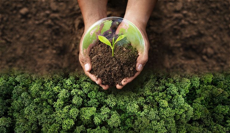 Rusza nabór do Młodzieżowej Rady Klimatycznej IV kadencji
