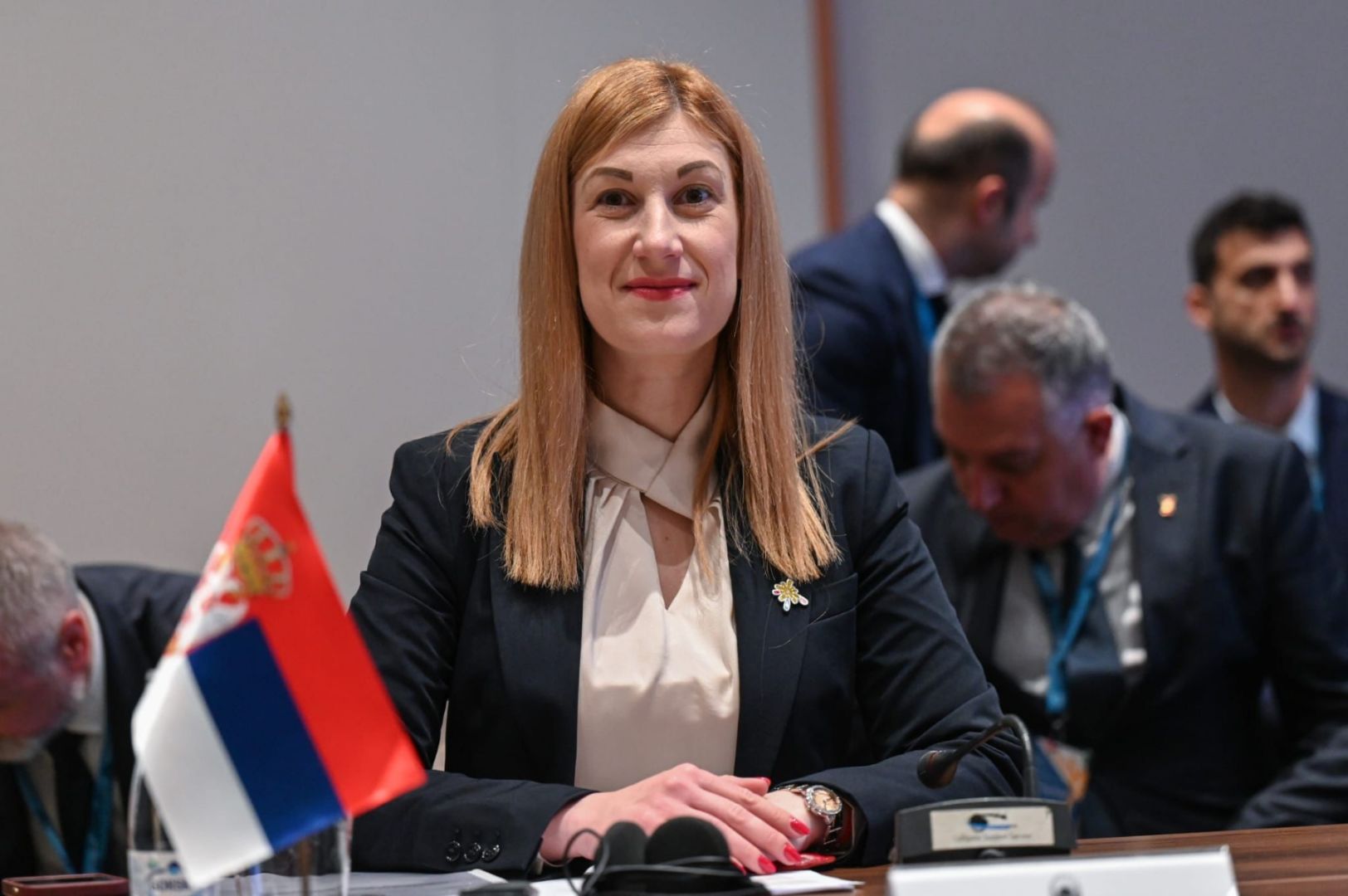 Јовановић на министарском састанку Јадранско-јонске иницијативе