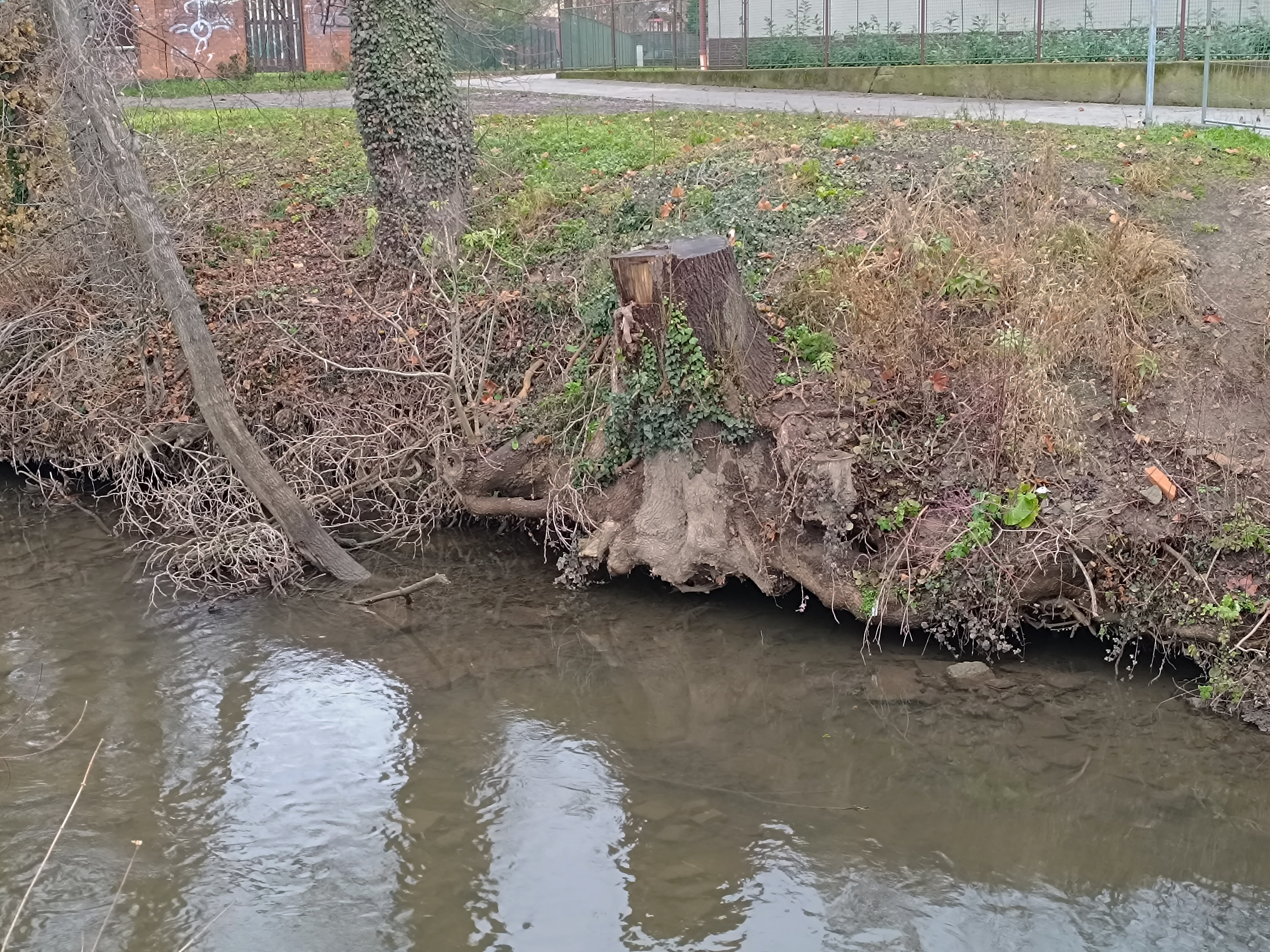 Město Nymburk zahájilo veřejnou zakázku na opevnění svahů u lávky NB-16  v lokalitě Na Parkáně
