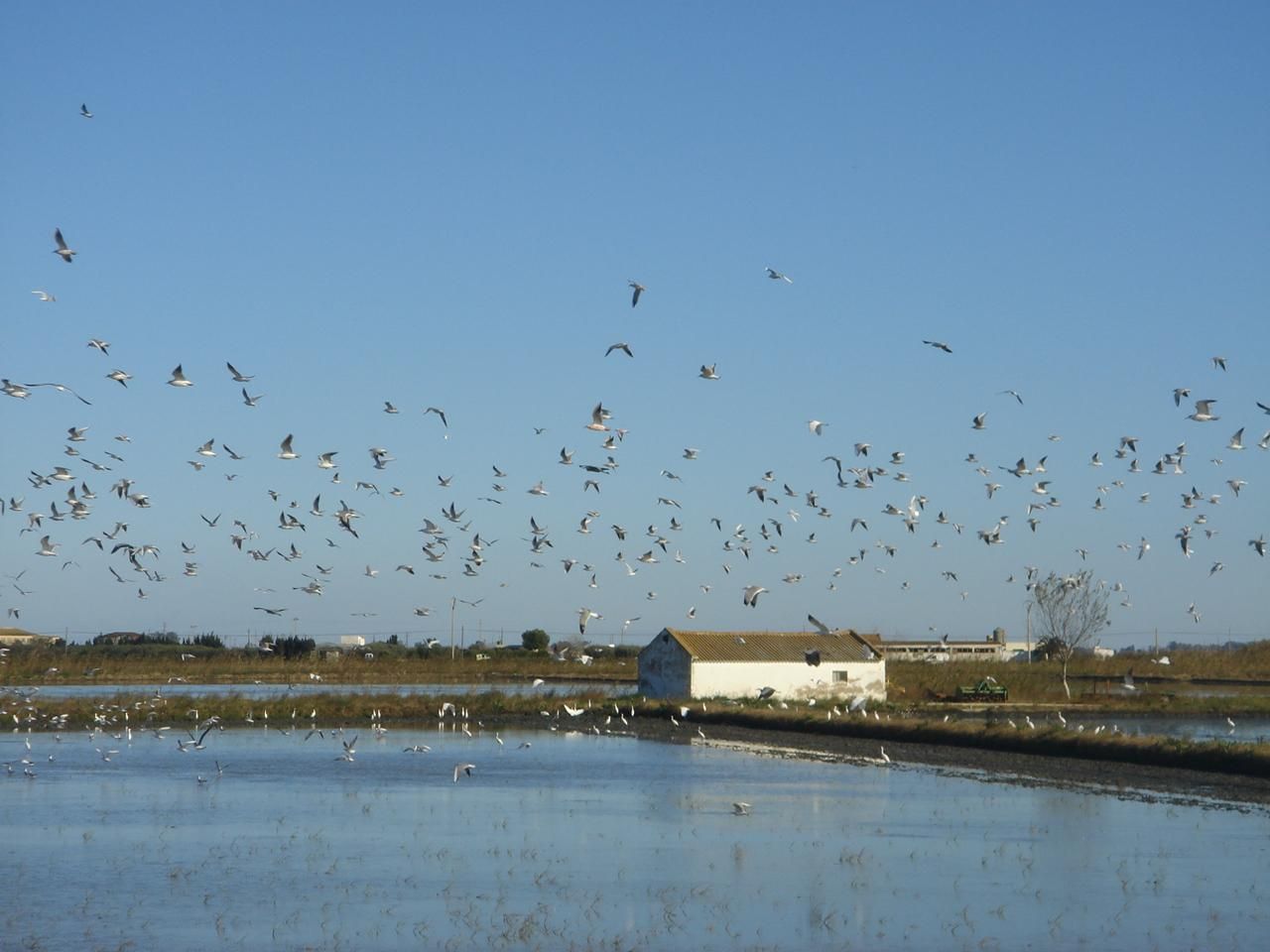 Cosechando biodiversidad con SEOfood y Riet Vell