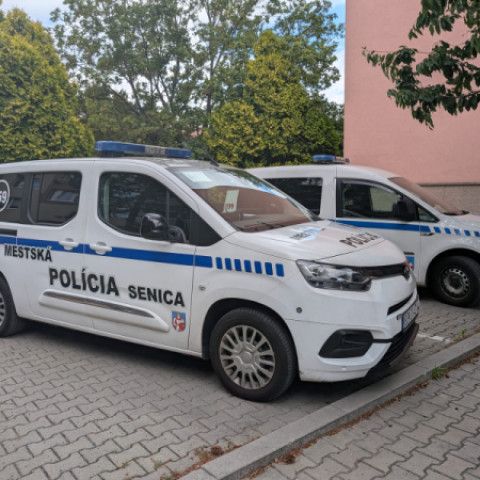 Zo zásahov mestskej polície: Potýčka, útok psa na kuriéra aj spadnutý strom