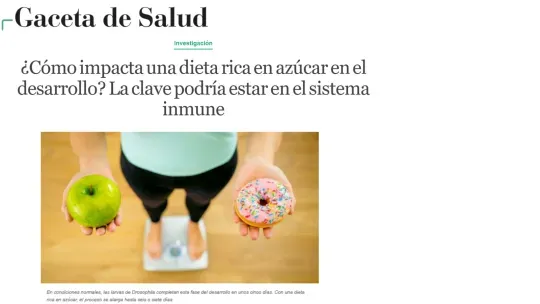 Gaceta de Salud - ¿Cómo impacta una dieta rica en azúcar en el desarrollo? La clave podría estar en el sistema inmune