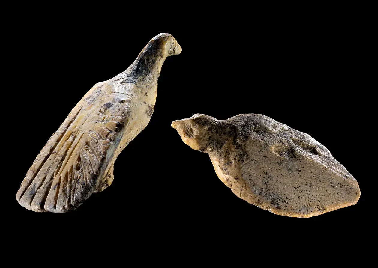 Zwei Vogelfiguren sind „Fund des Jahres“ aus der UNESCO-Welterbehöhle Hohle Fels